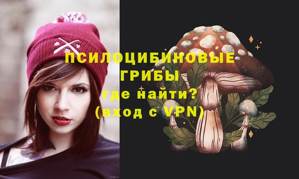 дурь Богородицк